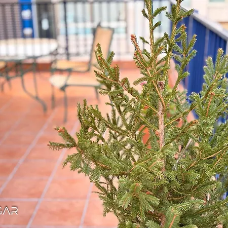 Apartamento Alexandre Boveda Apartamento Sanxenxo